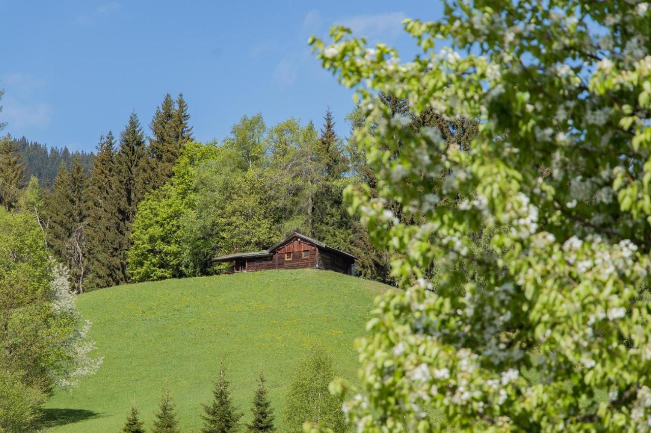 Landhotel Hinteraigengut Flachau Bagian luar foto